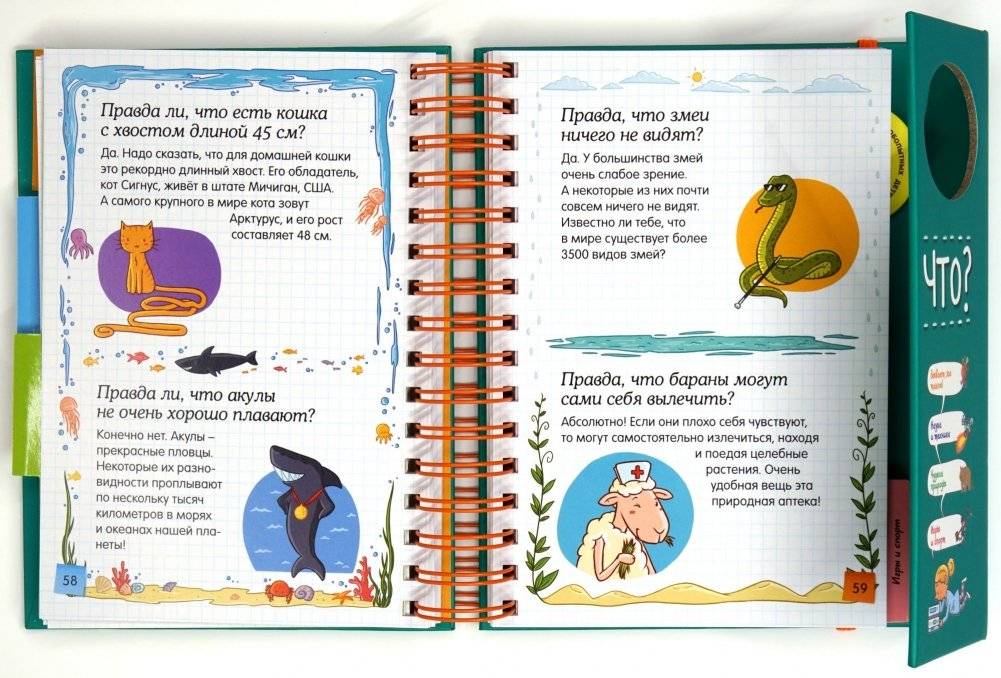 Правда ли, что? фото книги 3