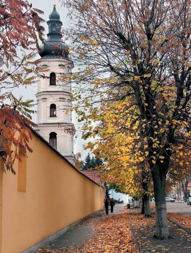 Пінск - палеская легенда. Пинск - полесская легенда фото книги 4