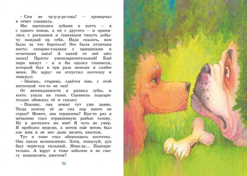 Медвежонок Тедди и другие сказки фото книги 5
