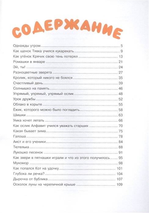 Ромашки в январе фото книги 5