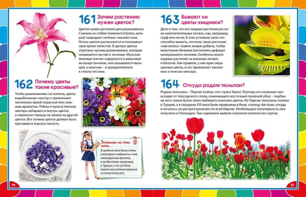 Лучшая энциклопедия для детей от 6 до 12 лет фото книги 6