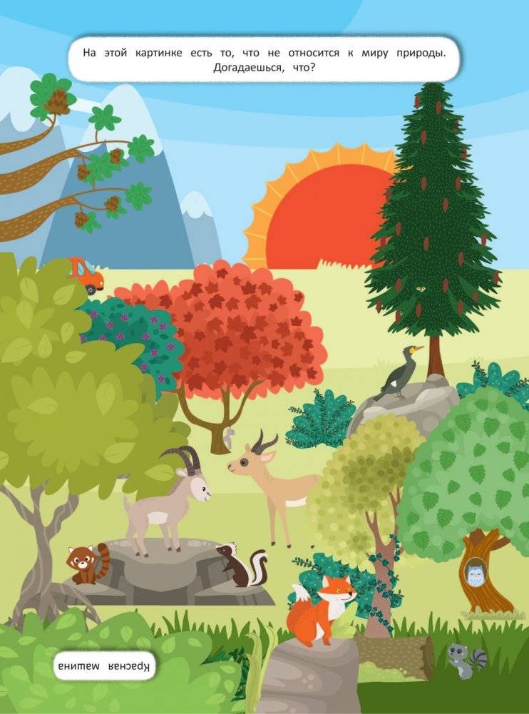 Находилки. Природа фото книги 2