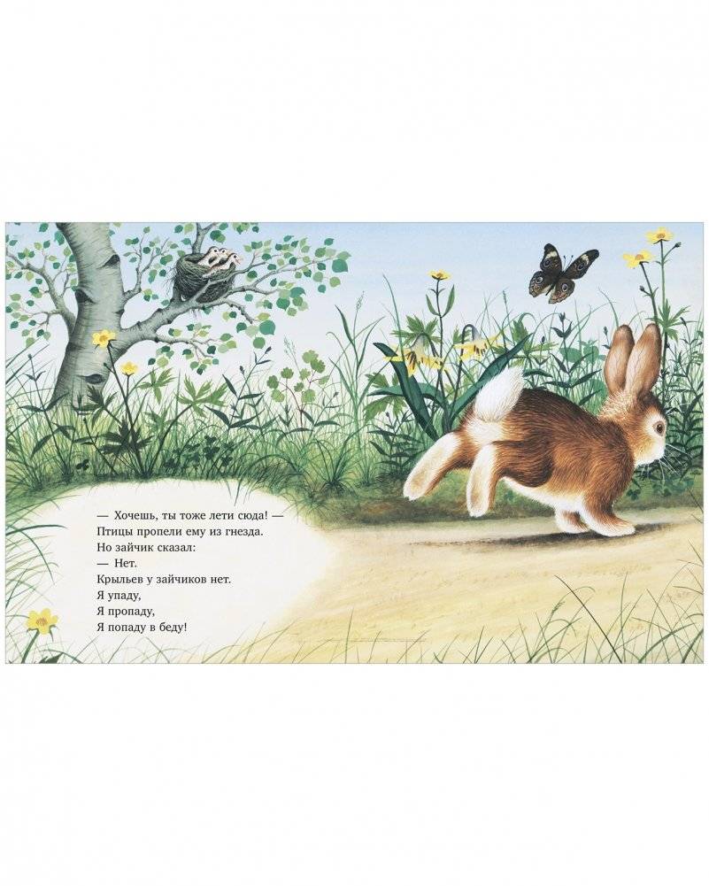 Зайчик ищет дом фото книги 5