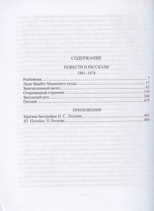 Николай Лесков. Избранное (количество томов: 2) фото книги 2