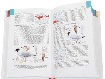 Птицы Сибири. Справочник-определитель (количество томов: 2) фото книги 4