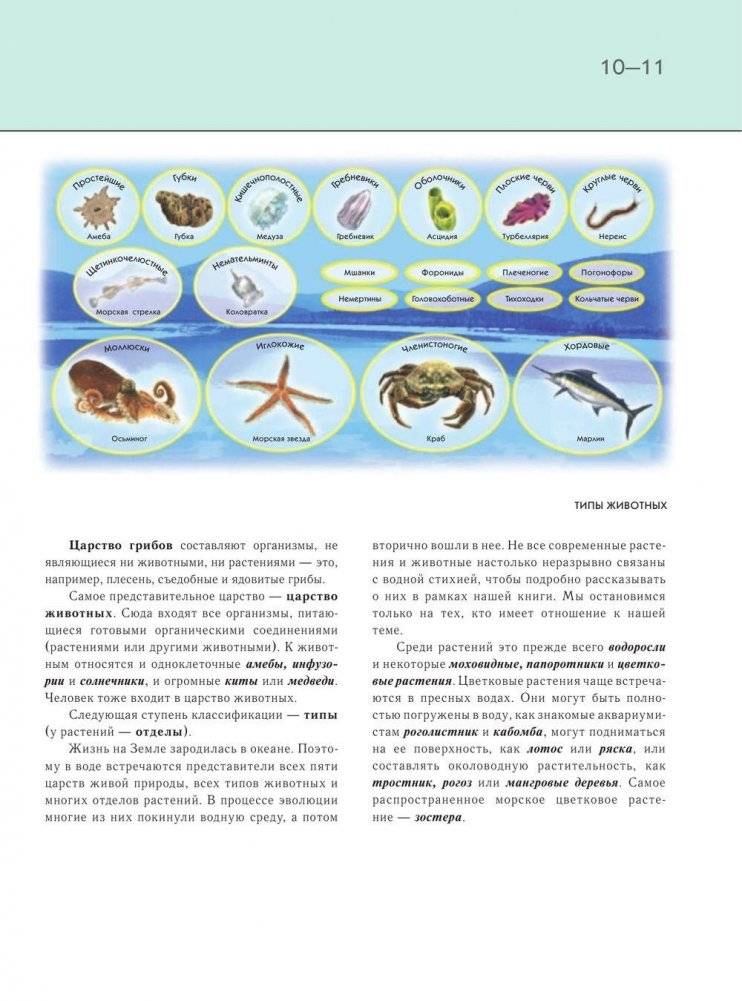 Подводный мир. Полная энциклопедия фото книги 10