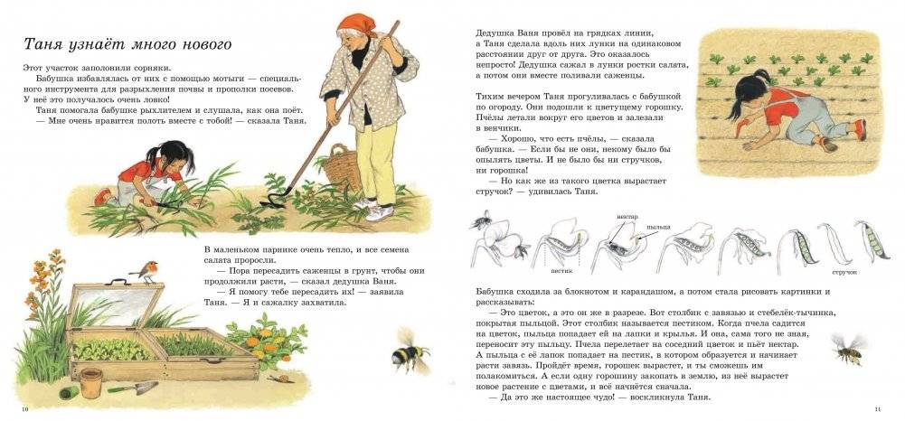 Как растут овощи? фото книги 6