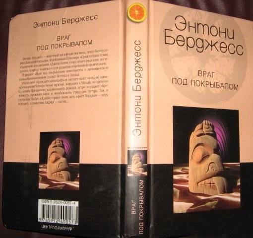 Враг под покрывалом фото книги 4