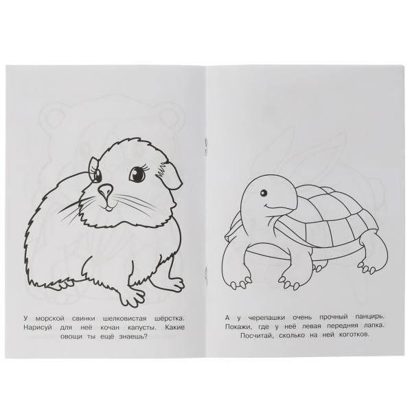 Раскраска-малышка. Милые питомцы. 16 заданий фото книги 2