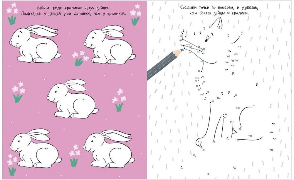 Животные. Рисуем, раскрашиваем, играем фото книги 3