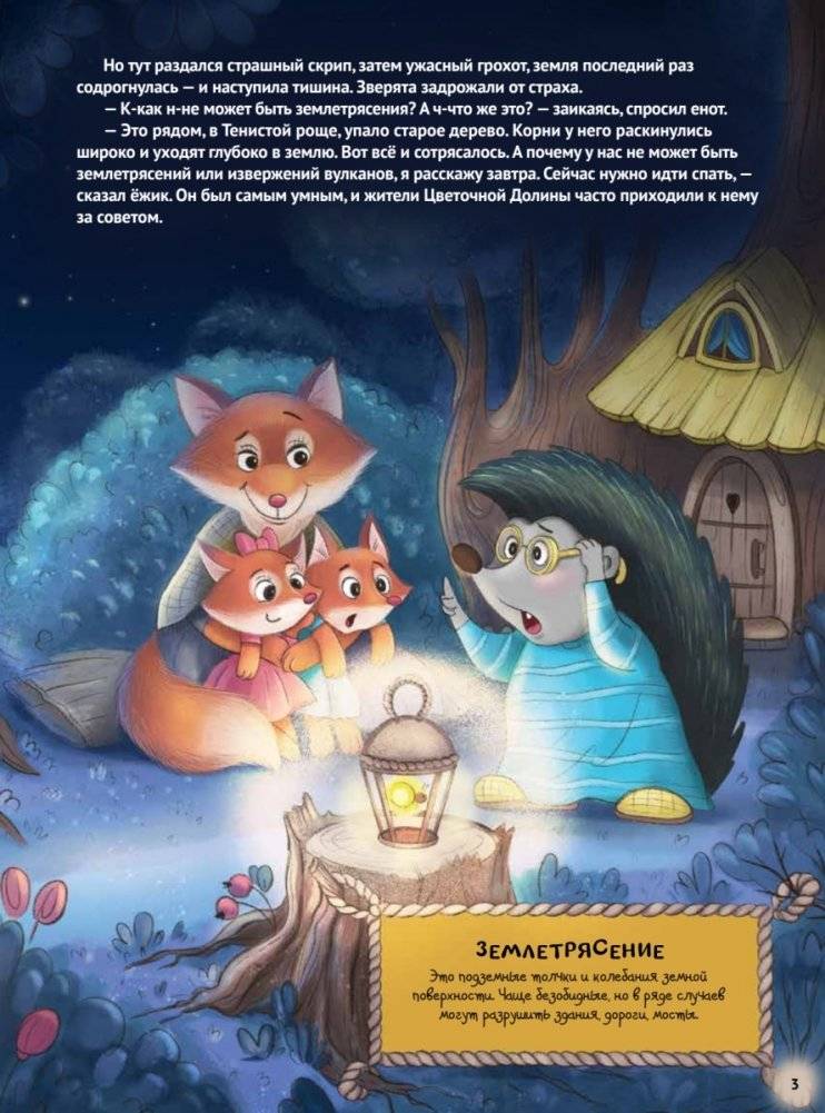 Любопытный енотик Тим! Почему Земля круглая, внутри горячая, а снаружи неровная? Книжка подготовишки фото книги 6