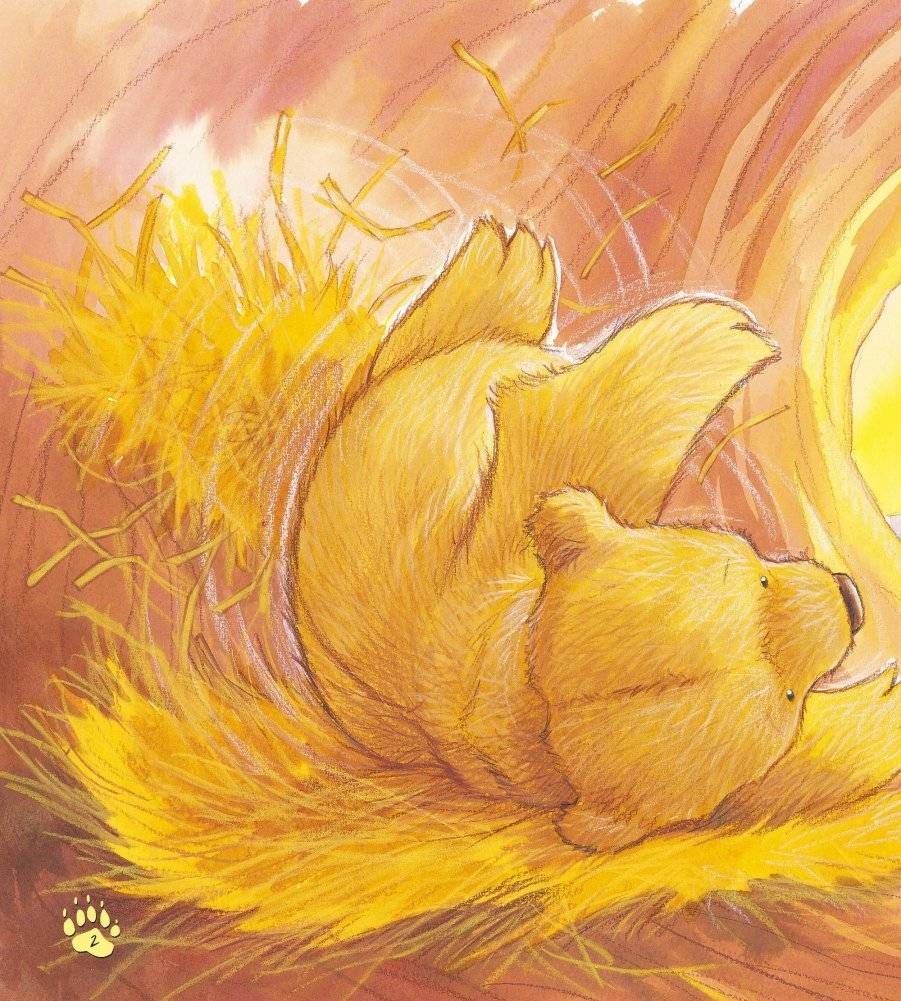 Папы-мишки никогда нет рядом фото книги 3