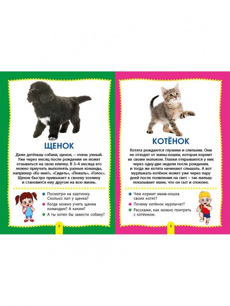 Детеныши животных. Фотокнига для самых маленьких фото книги 2