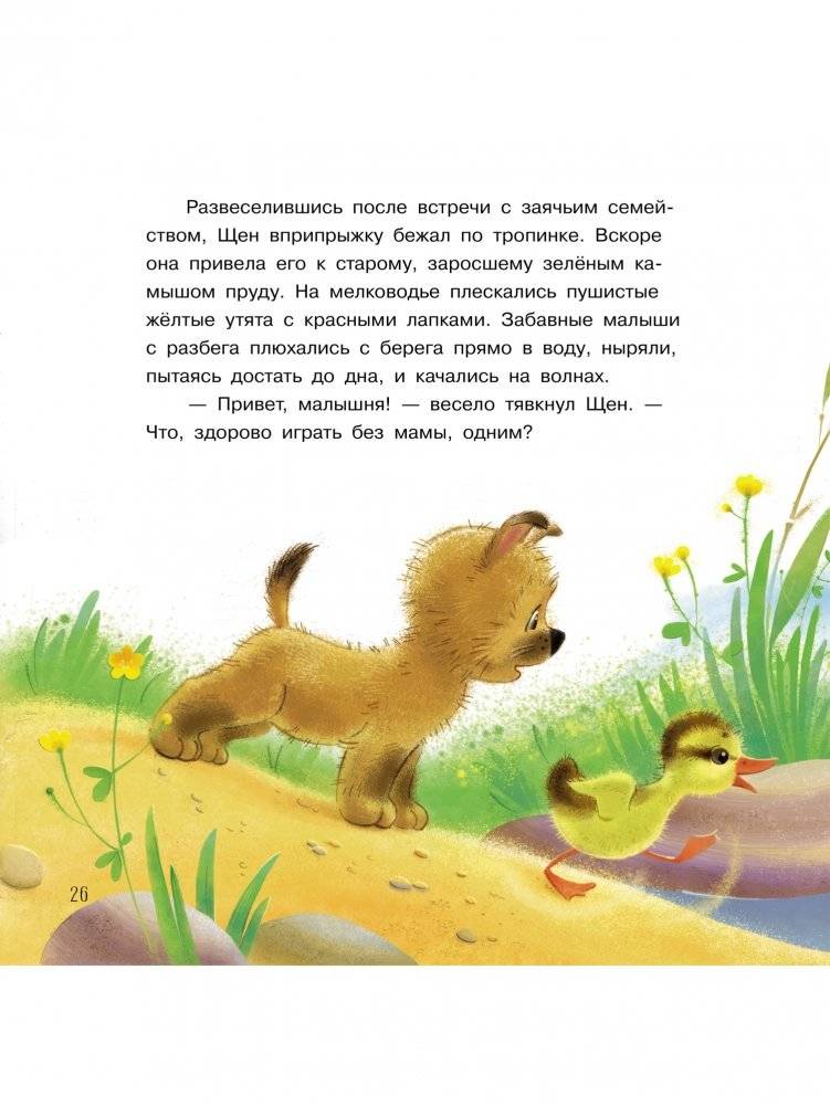 Что случилось во дворе? Сказки фото книги 5