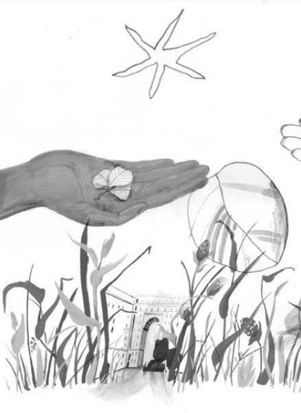 Девочки-колдуньи фото книги 7