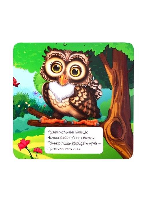 Загадки о животных фото книги 3