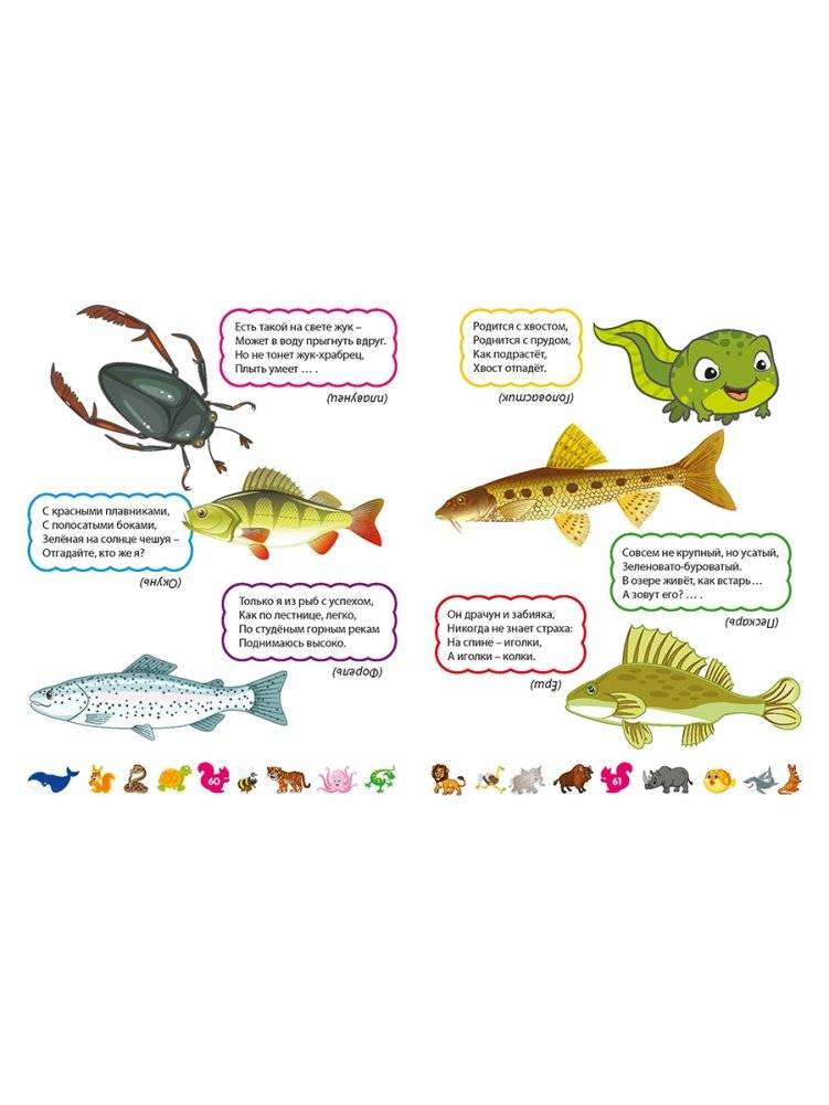 Загадки о животных для мальчиков и девочек фото книги 10