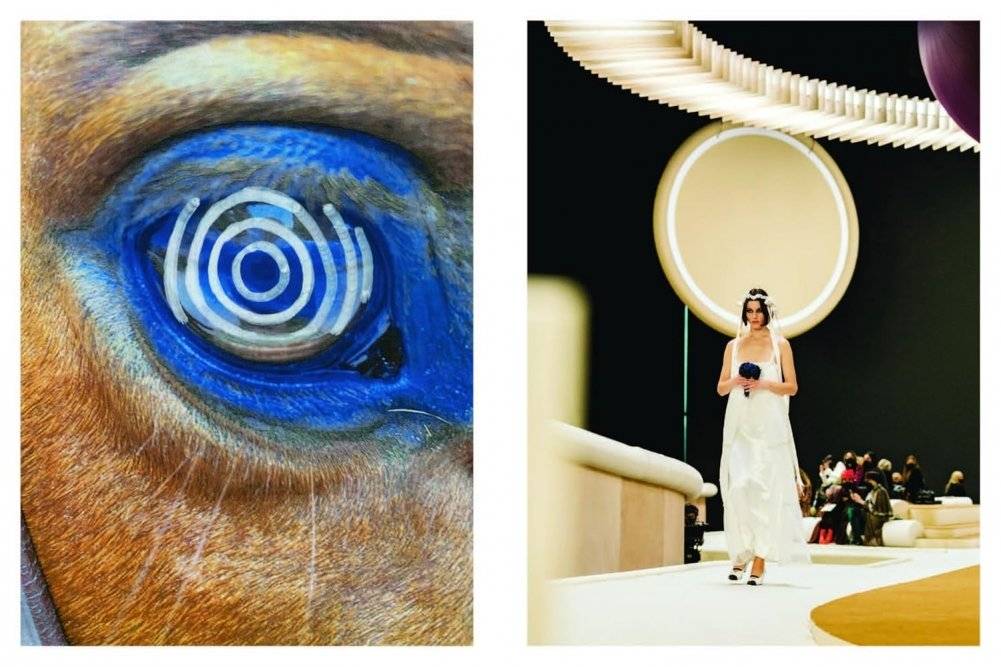 Xavier Veilhan / Chanel (Bilingual edition): Haute Couture Shows фото книги 4