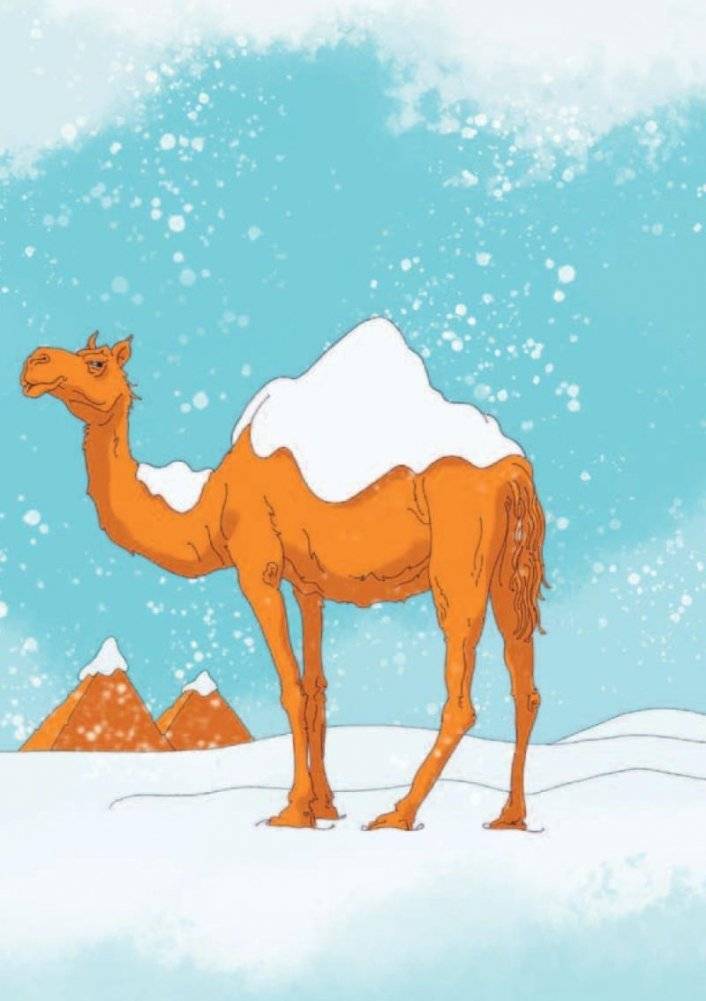 Похищенная зима. Как дети победили преступников пытавшихся подчинить себе всю планету фото книги 10