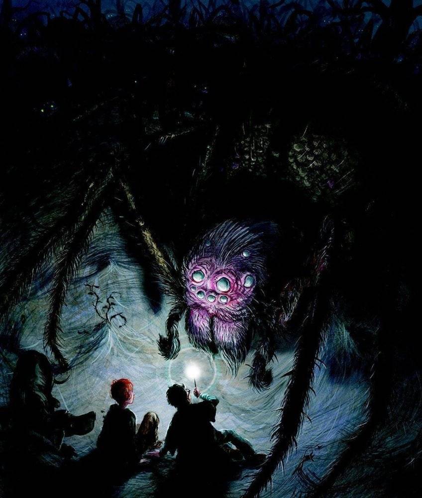 Гарри Поттер и Тайная комната фото книги 11