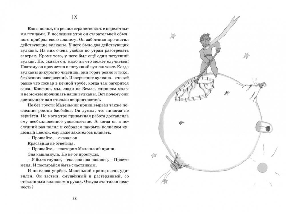 Маленький принц фото книги 5