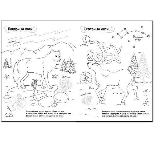 Комплект книг. Раскрась Россию (количество томов: 2) фото книги 2