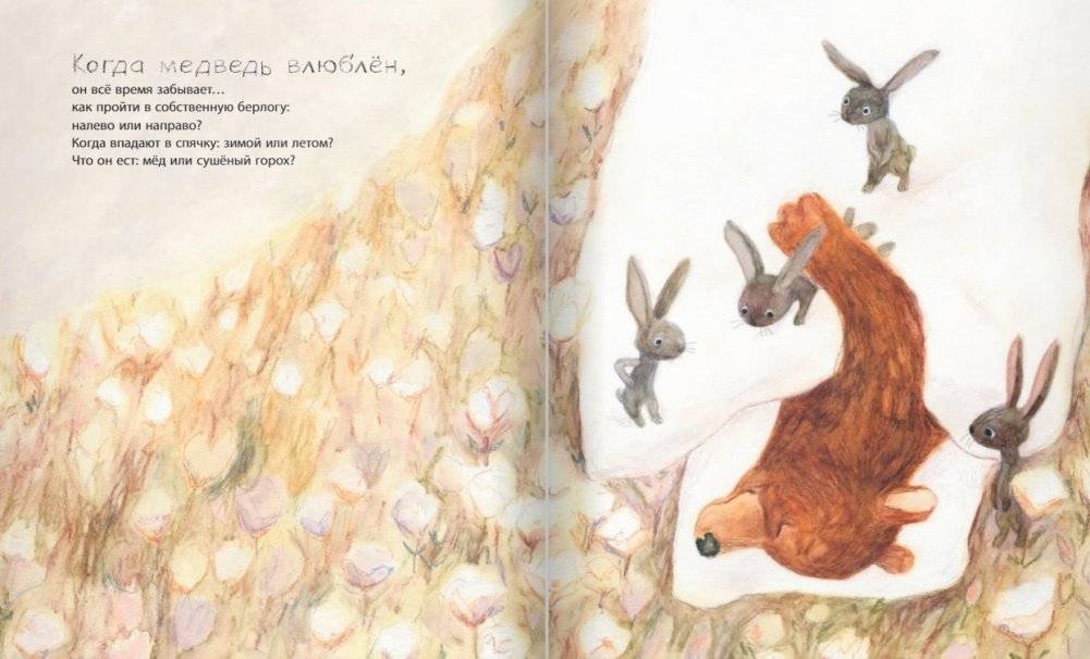 Когда медведь влюблён фото книги 6