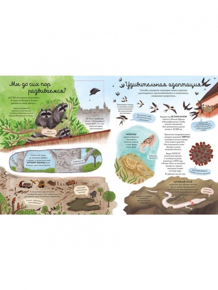 Открой тайны. Эволюция фото книги 5