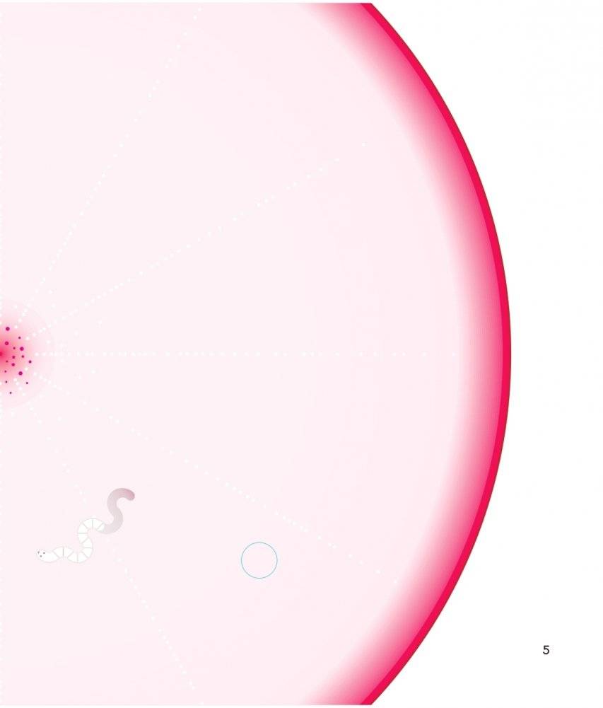 Что за овощ? фото книги 5