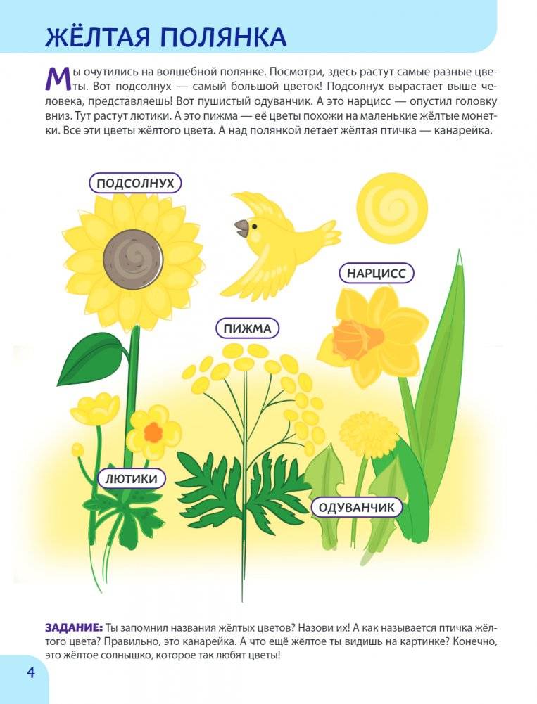 Окружающий мир. Первые занятия для малышей фото книги 3