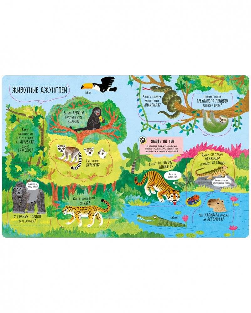 Большая книга с окошками. Животные фото книги 3