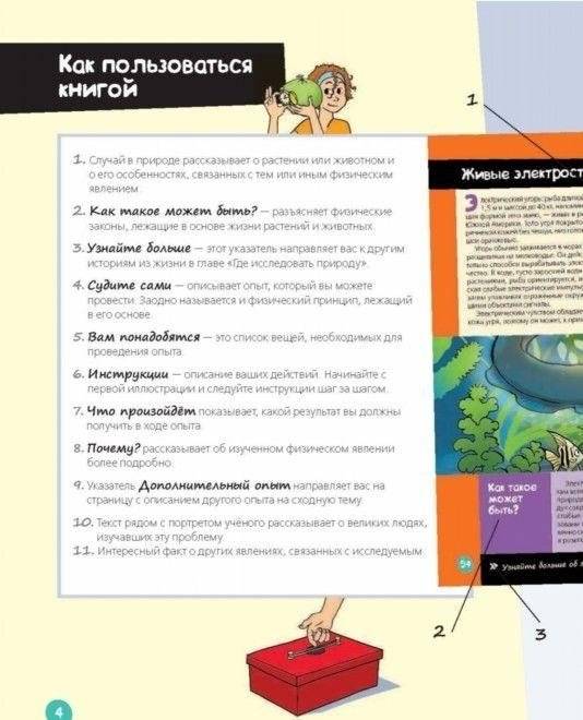 Лучшие научные эксперименты для детей. Физика, химия, биология фото книги 4