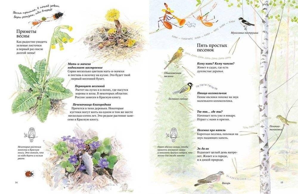 Экспедиция Софи фото книги 3