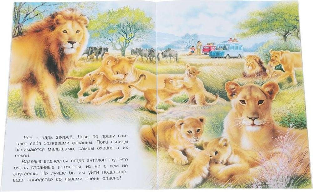 В Африке фото книги 3