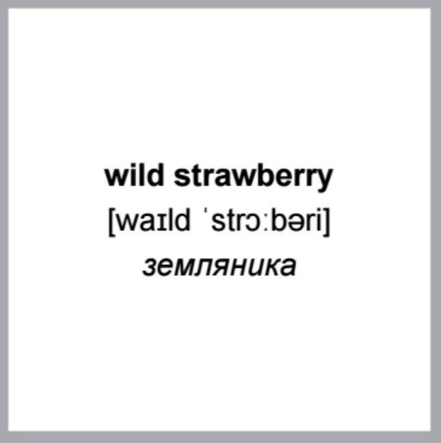 500 самых нужных английских слов и фраз. Флеш-карточки (без русской транскрипции) фото книги 7