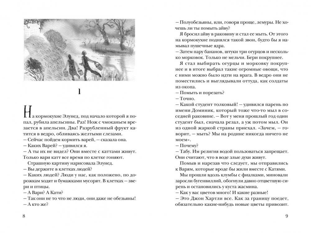 Остров, одетый в джерси фото книги 4