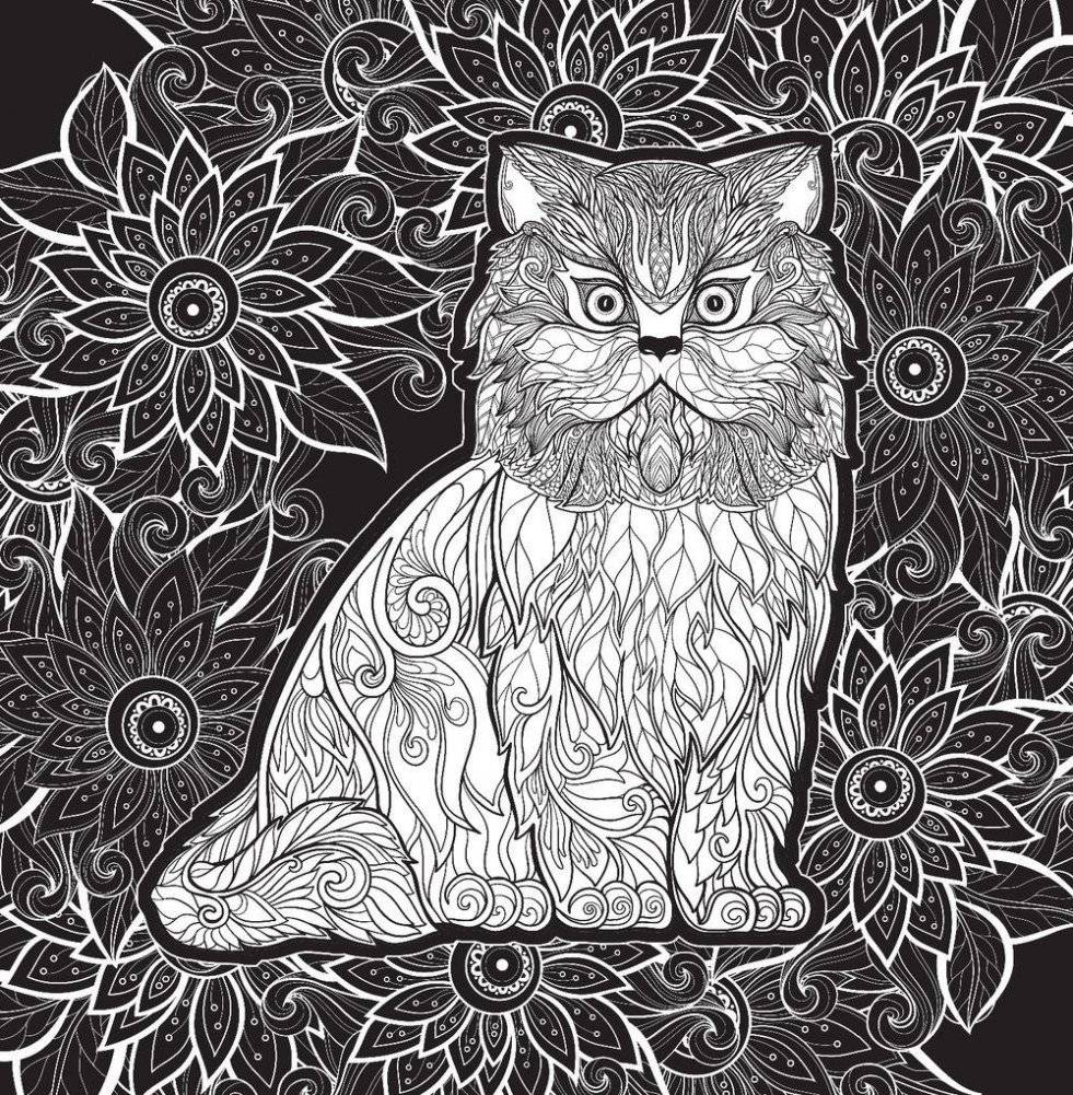 Свет и тень. Творческая раскраска с черно-белым фоном фото книги 10