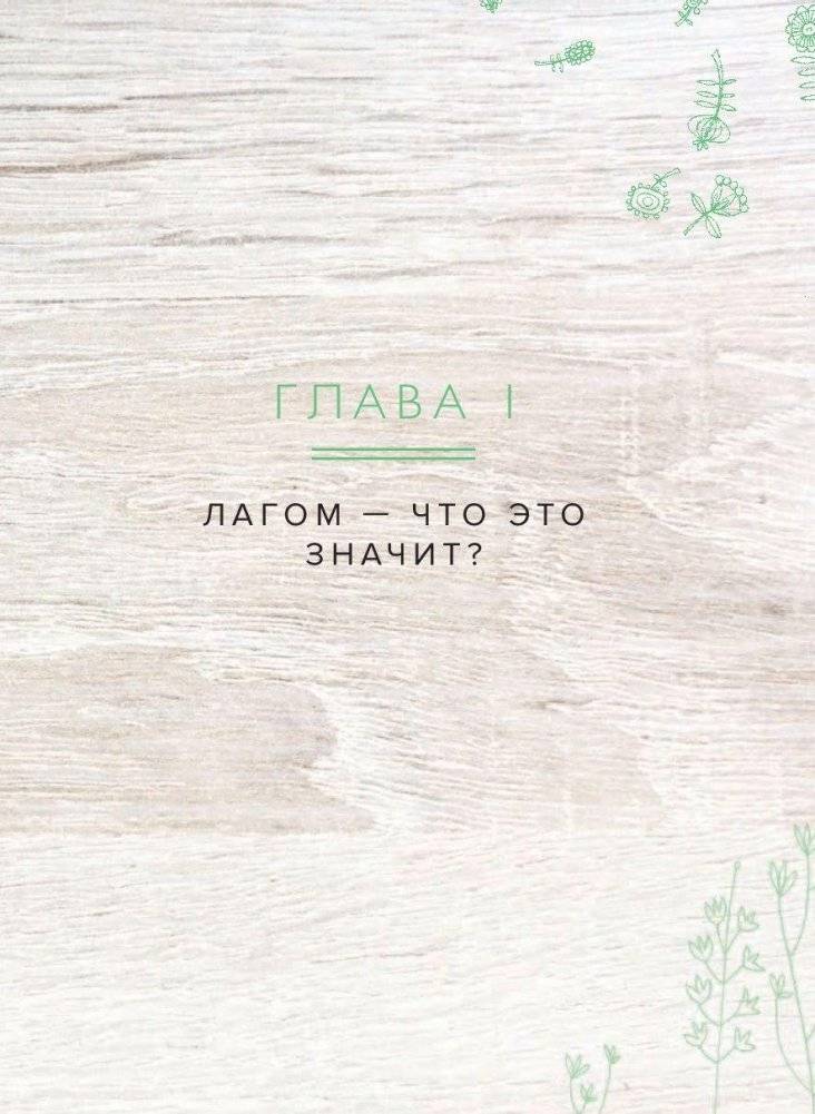 Лагом. Шведские секреты счастливой жизни фото книги 9