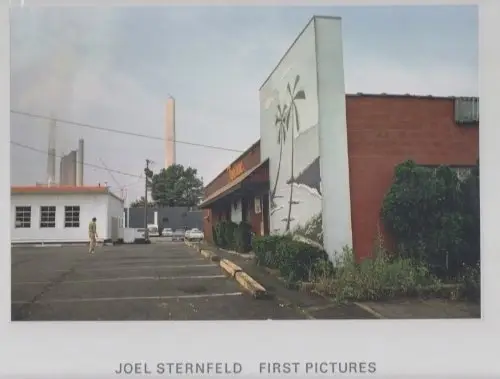 Joel Sternfeld фото книги