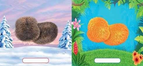 Пушунтик фото книги 2