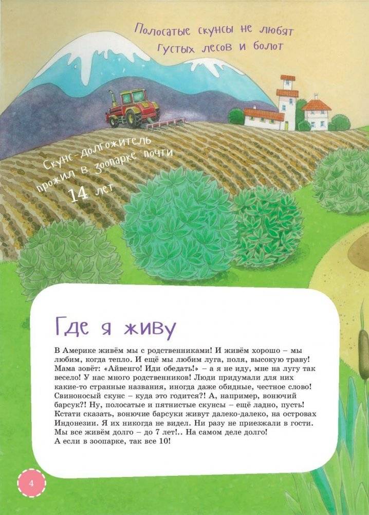 Я скунс фото книги 4