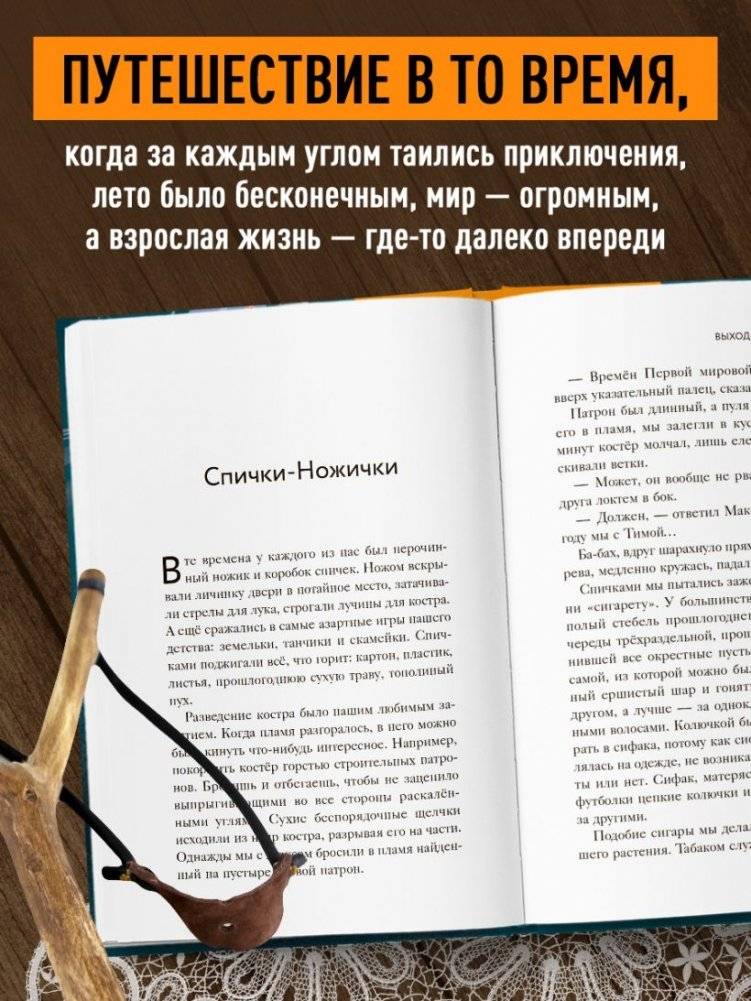 Выходи гулять! Путешествие по дворам нашего детства фото книги 5