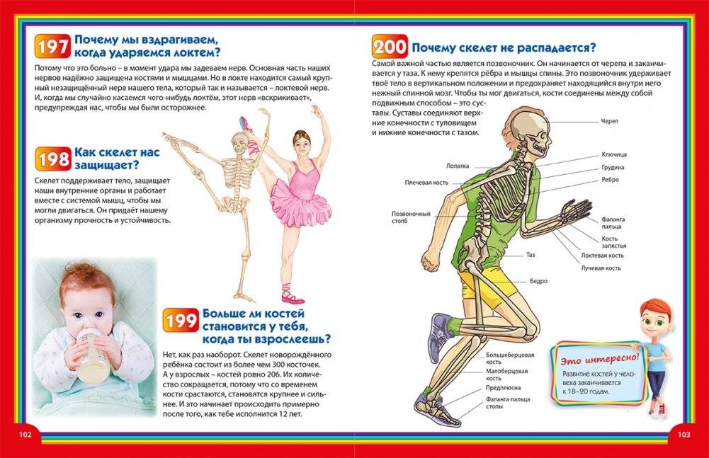 Энциклопедия для маленьких почемучек и любознашек фото книги 7