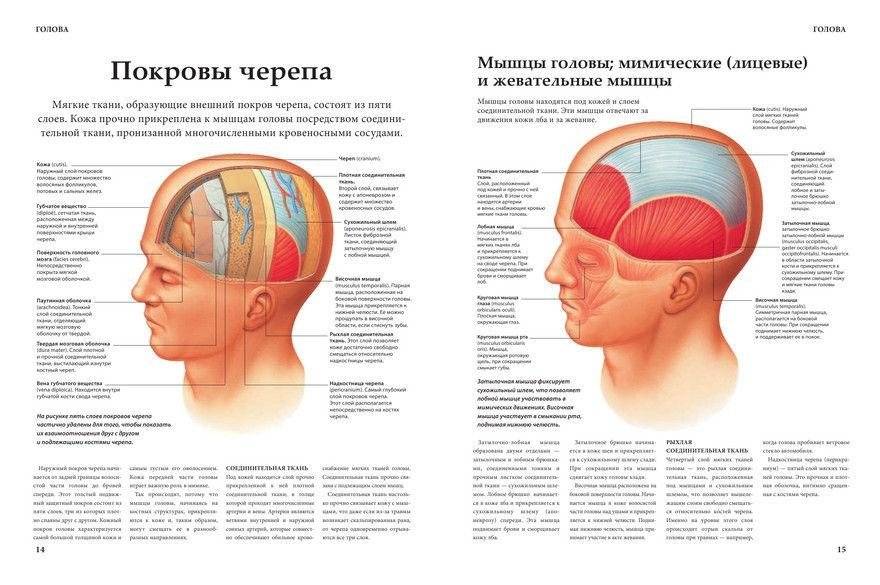 Анатомия человека фото книги 8