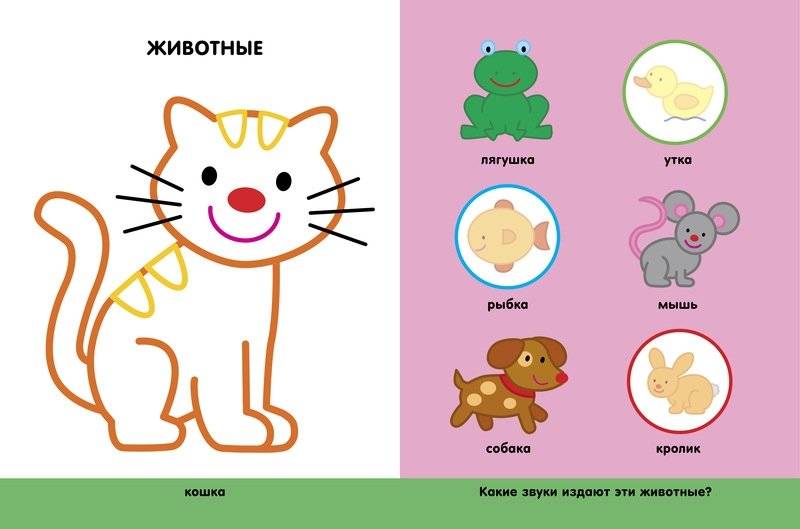 Мой дом фото книги 3
