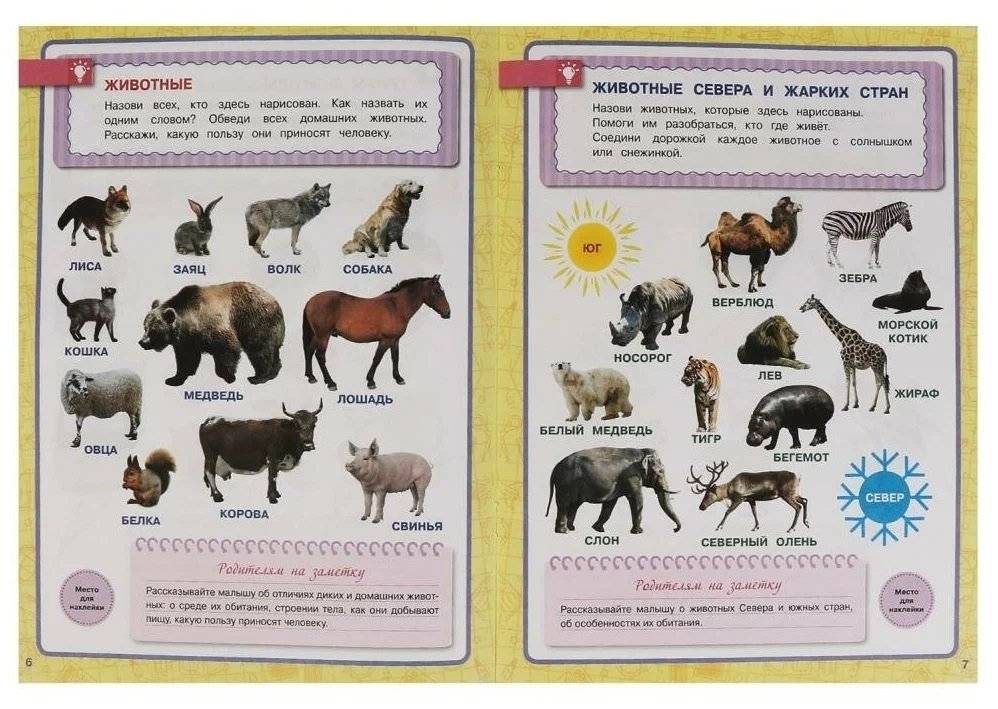 Окружающий мир. Рабочая тетрадь. Годовой курс. Школа Жуковой 4-5 лет фото книги 3