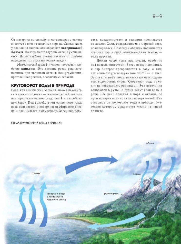 Подводный мир. Полная энциклопедия фото книги 8