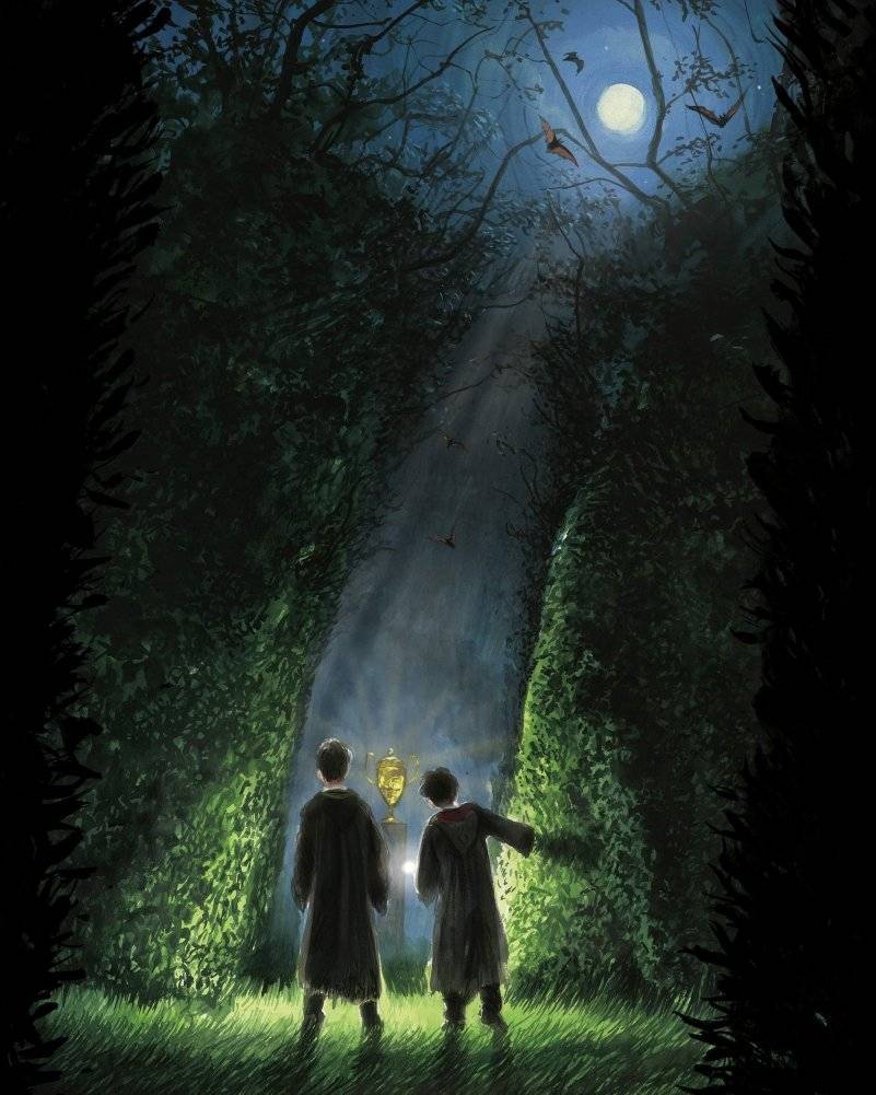 Harry Potter and the Goblet of Fire фото книги 2