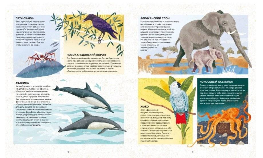Удивительные животные. Самые-самые фото книги 4