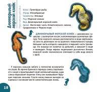 Подводный мир. Серия "Планета животных" фото книги 2